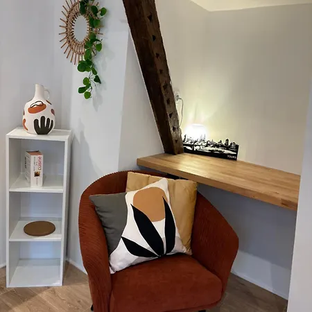 Chez Leo - Rue De La Scellerie Appartement Tours Buitenkant foto