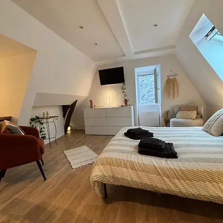 Chez Leo - Rue De La Scellerie Appartement Tours Buitenkant foto
